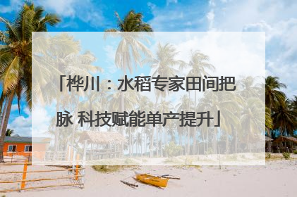 桦川：水稻专家田间把脉 科技赋能单产提升