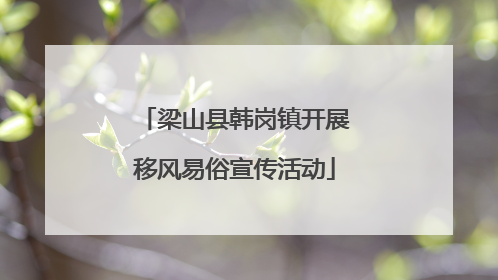梁山县韩岗镇开展移风易俗宣传活动