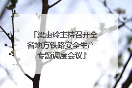 梁惠玲主持召开全省地方铁路安全生产专题调度会议