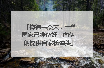 梅德韦杰夫：一些国家已准备好，向伊朗提供自家核弹头