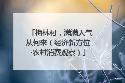 梅林村，满满人气从何来（经济新方位·农村消费观察）