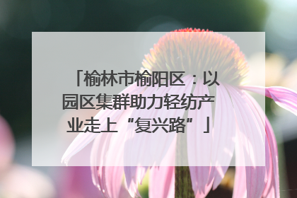 榆林市榆阳区：以园区集群助力轻纺产业走上“复兴路”