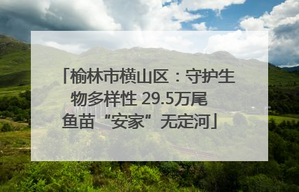 榆林市横山区：守护生物多样性 29.5万尾鱼苗“安家”无定河