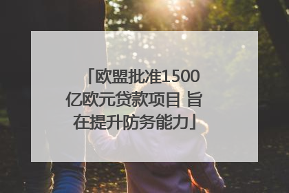 欧盟批准1500亿欧元贷款项目 旨在提升防务能力