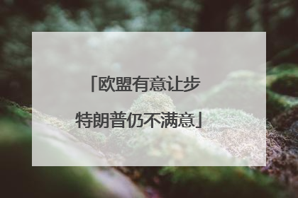 欧盟有意让步 特朗普仍不满意
