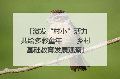 激发“村小”活力 共绘多彩童年——乡村基础教育发展观察