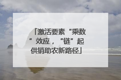 激活要素“乘数”效应，“链”起供销助农新路径