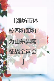 潍坊市体校四将即将为山东男篮征战全运会