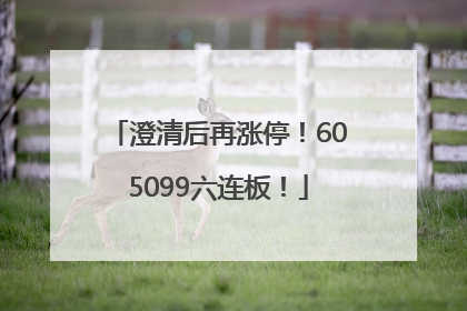 澄清后再涨停！605099六连板！