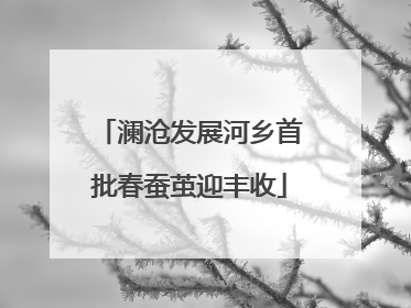 澜沧发展河乡首批春蚕茧迎丰收