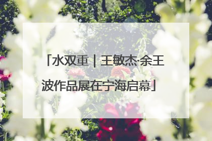水双重｜王敏杰·余王波作品展在宁海启幕