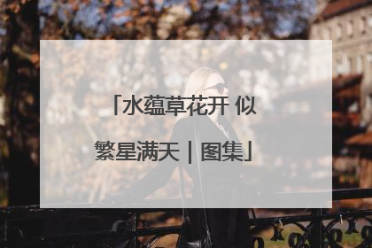 水蕴草花开 似繁星满天｜图集