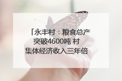 永丰村：粮食总产突破4600吨 村集体经济收入三年倍增｜牵挂的村