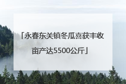 永春东关镇冬瓜喜获丰收 亩产达5500公斤