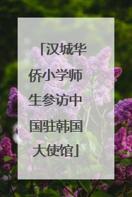 汉城华侨小学师生参访中国驻韩国大使馆