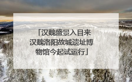 汉魏盛景入目来 汉魏洛阳故城遗址博物馆今起试运行