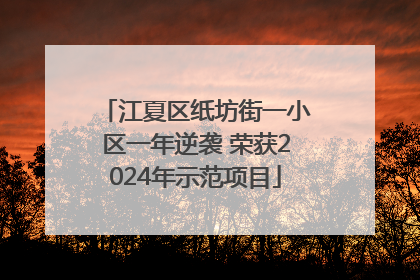 江夏区纸坊街一小区一年逆袭 荣获2024年示范项目
