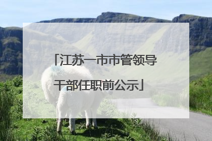 江苏一市市管领导干部任职前公示