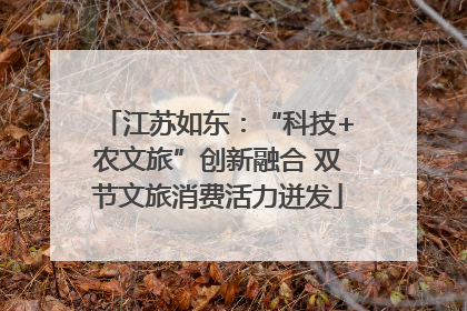 江苏如东：“科技+农文旅”创新融合 双节文旅消费活力迸发