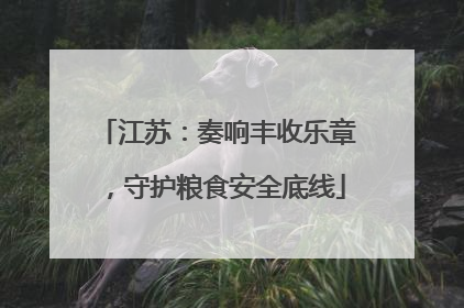 江苏：奏响丰收乐章，守护粮食安全底线