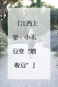 江西上栗：小毛豆变“增收豆”