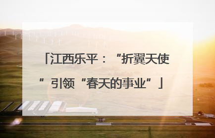 江西乐平：“折翼天使”引领“春天的事业”