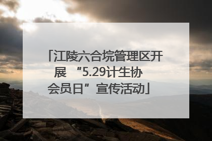 江陵六合垸管理区开展 “5.29计生协会员日”宣传活动