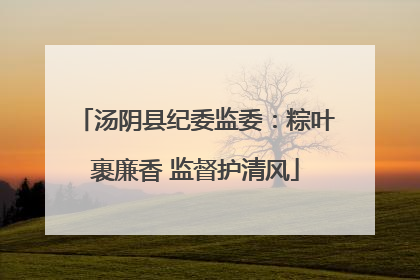 汤阴县纪委监委：粽叶裹廉香 监督护清风