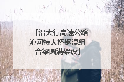 沿太行高速公路沁河特大桥钢混组合梁圆满架设