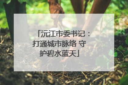 沅江市委书记：打通城市脉络 守护碧水蓝天