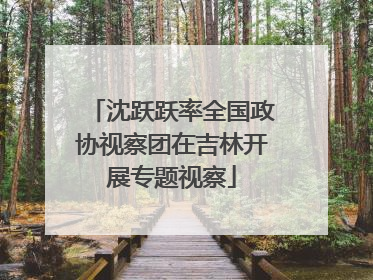 沈跃跃率全国政协视察团在吉林开展专题视察