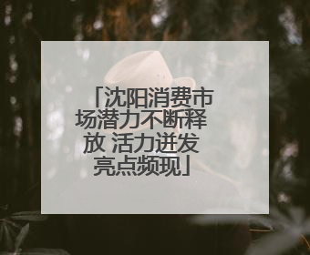 沈阳消费市场潜力不断释放 活力迸发亮点频现