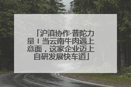 沪滇协作·普陀力量〡当云南牛肉遇上意面，这家企业迈上自研发展快车道