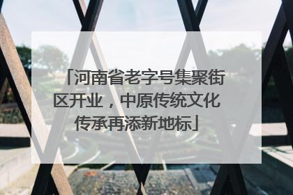 河南省老字号集聚街区开业，中原传统文化传承再添新地标