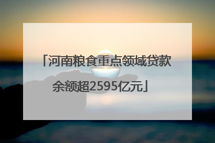 河南粮食重点领域贷款余额超2595亿元