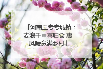 河南兰考考城镇：麦浪千重喜归仓 惠风暖意满乡村