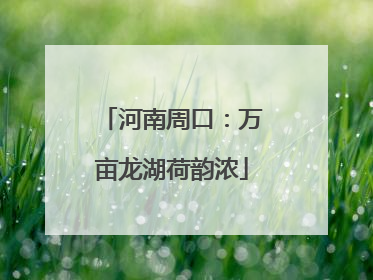 河南周口：万亩龙湖荷韵浓