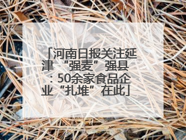 河南日报关注延津 “强麦”强县：50余家食品企业“扎堆”在此