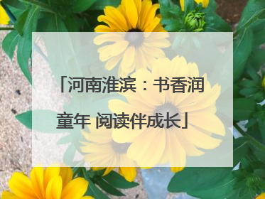 河南淮滨：书香润童年 阅读伴成长