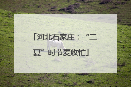 河北石家庄：“三夏”时节麦收忙