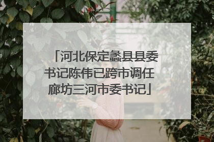 河北保定蠡县县委书记陈伟已跨市调任廊坊三河市委书记