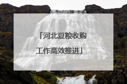 河北夏粮收购工作高效推进