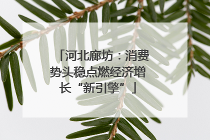 河北廊坊：消费势头稳点燃经济增长“新引擎”