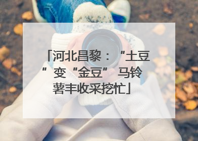 河北昌黎：“土豆”变“金豆” 马铃薯丰收采挖忙