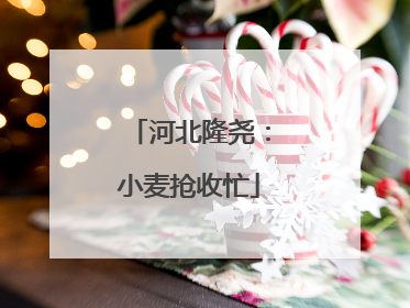 河北隆尧：小麦抢收忙
