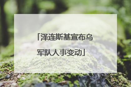 泽连斯基宣布乌军队人事变动