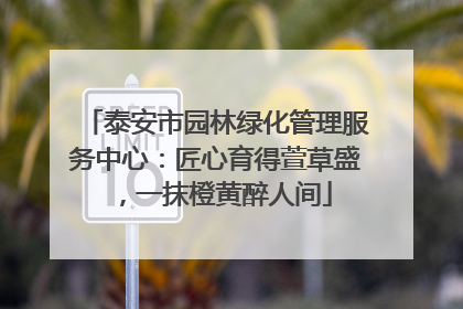泰安市园林绿化管理服务中心：匠心育得萱草盛，一抹橙黄醉人间