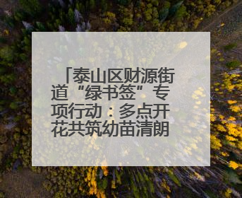 泰山区财源街道“绿书签”专项行动：多点开花共筑幼苗清朗成长空间