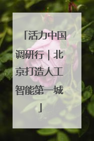 活力中国调研行｜北京打造人工智能第一城