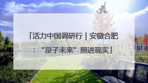活力中国调研行｜安徽合肥：“量子未来”照进现实
